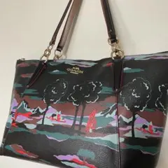 激レア!】COACH コーチ × ナルト コラボ 写輪眼 トートバッグ - メルカリ