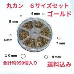 丸カン ６種セット4〜10mm ケース付き ハンドメイド資材