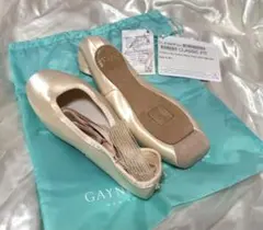 ゲイナーミンデン