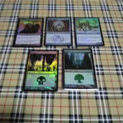 mtg FF バンドル 英語 foil 基本土地 Plains 平地 6枚セット - メルカリ