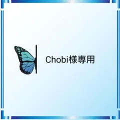 Chobi様 リクエスト 3点 まとめ商品