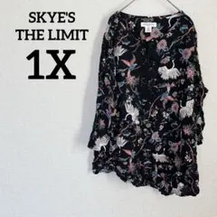 SKYE'S THE LIMIT 【1X】ブラウス tシャツ 花柄 鳥 そで広