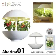 超メルカリ市期間中！値下げ！Akarina01 LED水耕栽培キット 超メルカリ市期間中！値下げ！Akarina01 LED水耕栽培キット - メルカリ