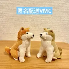 ほっこり秋田犬 はち兵衛 VMCコンプリート ≪5月の新商品≫ほっこり秋田犬はち兵衛-NEW ITEM！｜アミューズ最新情報