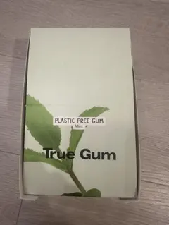 True Gum Mint ガム プラスチックフリー 19個 ミントのサムネイル
