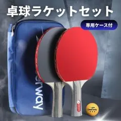 卓球 ラケット ボール セット ケース ラバー 初心者 中級者