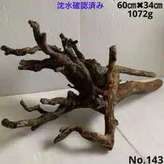 2026年最新】水槽 流木 あく抜き済みの人気アイテム - メルカリ