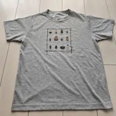 モンベルキッズmont-bell Tシャツ 160　美品