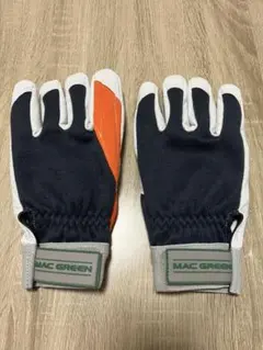 Item thumbnail for item c410a3e7-750a-4c25-a98a-1a12ba1d1045