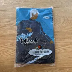80's USA製Fruit of the loom タートルネック パックT