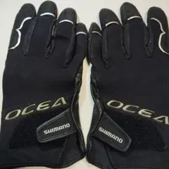 Item thumbnail for item c433437f-61e2-4768-bd2e-8f0ba545eb7b