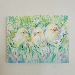 ひよこと花のアクリル画 原画 《1点限り!!》