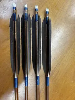 弓道 矢 ウィニュー WENEW 8023矢尺101センチ値下げ可能 - メルカリ