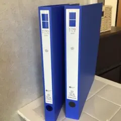 Item thumbnail for item c35df7e6-6b08-45a5-9f62-d1ea91fd6796