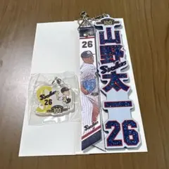 東京ヤクルトスワローズ 明治神宮野球場 100年記念 巾着 内山壮真