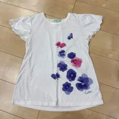 hakka kid フラワープリント Tシャツ 150
