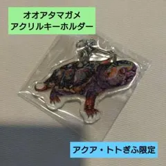 オオアタマガメ アクリルキーホルダー アクア・トトぎふ限定