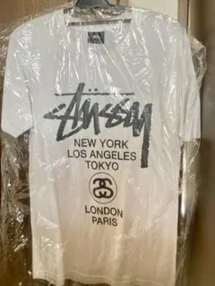 先着1点✨ Stüssy ホワイト Tシャツ Sサイズ