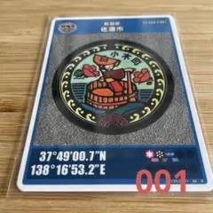 Item thumbnail for item f68a2ee5-235a-4d30-ade5-835d8f2f7fc2