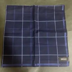 【24時間以内に発送】 DKNYハンカチ ブルー チェック柄のサムネイル