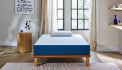 あきらんこ様 専用