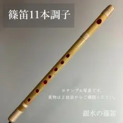 Item thumbnail for item 11dfe67b-58d7-4226-873b-5a88e7ae43da