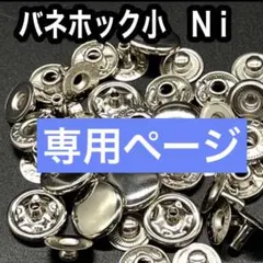 専用ページ
