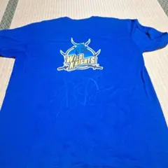 Item thumbnail for item 3cbd44aa-fdbd-4631-bc9c-236797106e35