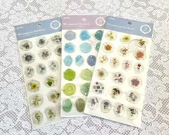 封筒やメッセージカードに押すだけ♡手紙/年賀状/贈り物/手帳デコ