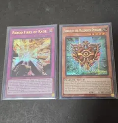 千年王朝の盾 怒りの業火エクゾードフレイム シク 英語版 2枚セット