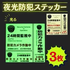 Item thumbnail for item f4304f86-7253-426a-86f8-150a38f53624