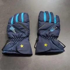 スキーグローブ120