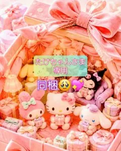 たけちゃんさま 専用