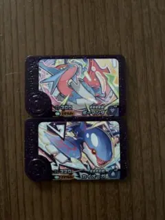 ポケモンフレンダ カイオーガ ゲームカード