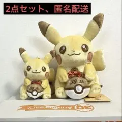 ポケモンセンター30周年 ピカピカ！ピカチュウ 新品タグ付 2点セット