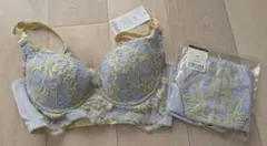 ブラジャーショーツセット D65 M