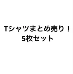 Tシャツ5点まとめ売り！