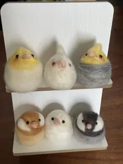 キンカチョウ☆錦華鳥☆実物大☆6点セット - メルカリ