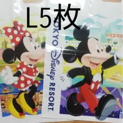 ディズニー　ショップ　袋　ミッキー　ミニー　Ｌ　10枚　（23）のサムネイル