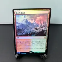 2026年最新】樹木茂る山麓 mtgの人気アイテム - メルカリ