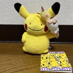 ミズゴロウ メタモン ぬいぐるみ ピカチュウカーニバル - メルカリ