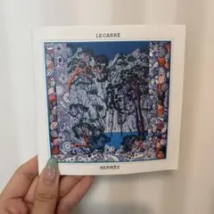 HERMES エルメス カレ スカーフ カタログ 冊子 2015 秋