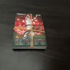 プロ野球スピリッツカードセット20枚 全部サイン付き