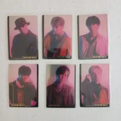 bot ツインウエハース カード