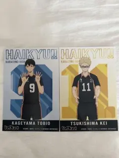 ハイキュー アニメイト特典 ポストカード 影山飛雄 月島蛍