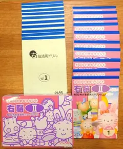 【ほとんど未記入 美品】七田式小学生プリント右脳 Ⅰ 七田式小学生プリント右脳思考1【プリント教材】 | 七田式公式通販