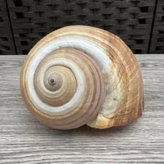 Item thumbnail for item ad678a6b-c144-4d6d-8d60-709fa6ed602c