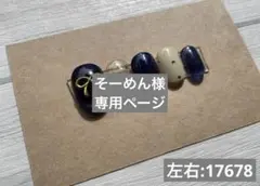 そーめん様　専用ページ