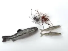 最終価格　イマカツ　ダンベルクラブ　3色セット 2025年最新】イマカツ ダンベルクラブの人気アイテム - メルカリ