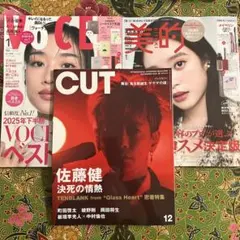 CUT 12月号　佐藤健　美的　スペシャル　1月号　VOCE　1月号